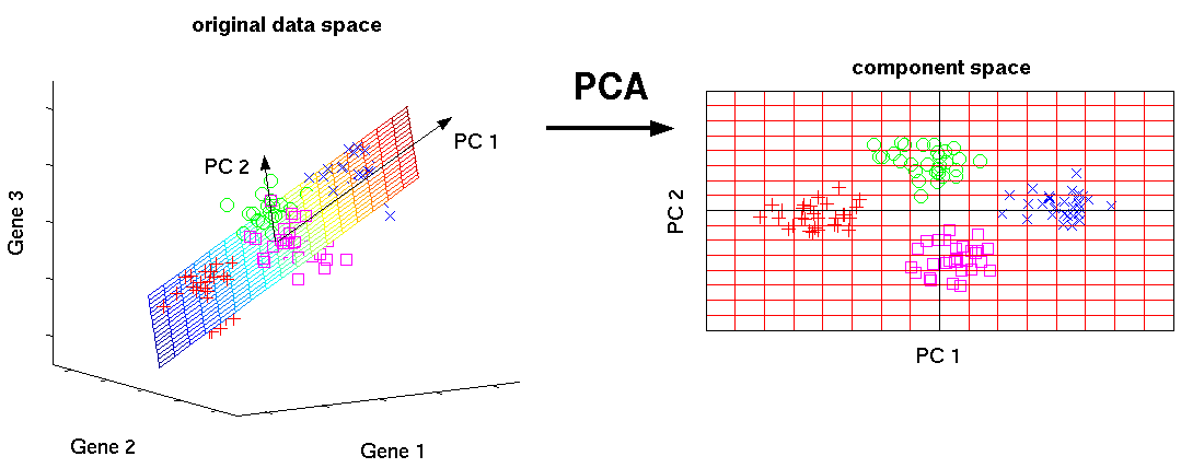 Principal component analysis (PCA)